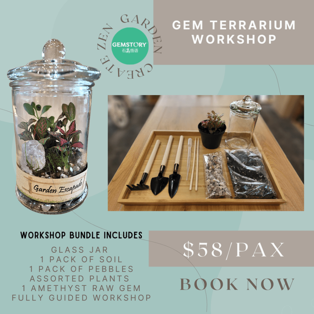 Gem Terrarium Workshop 2