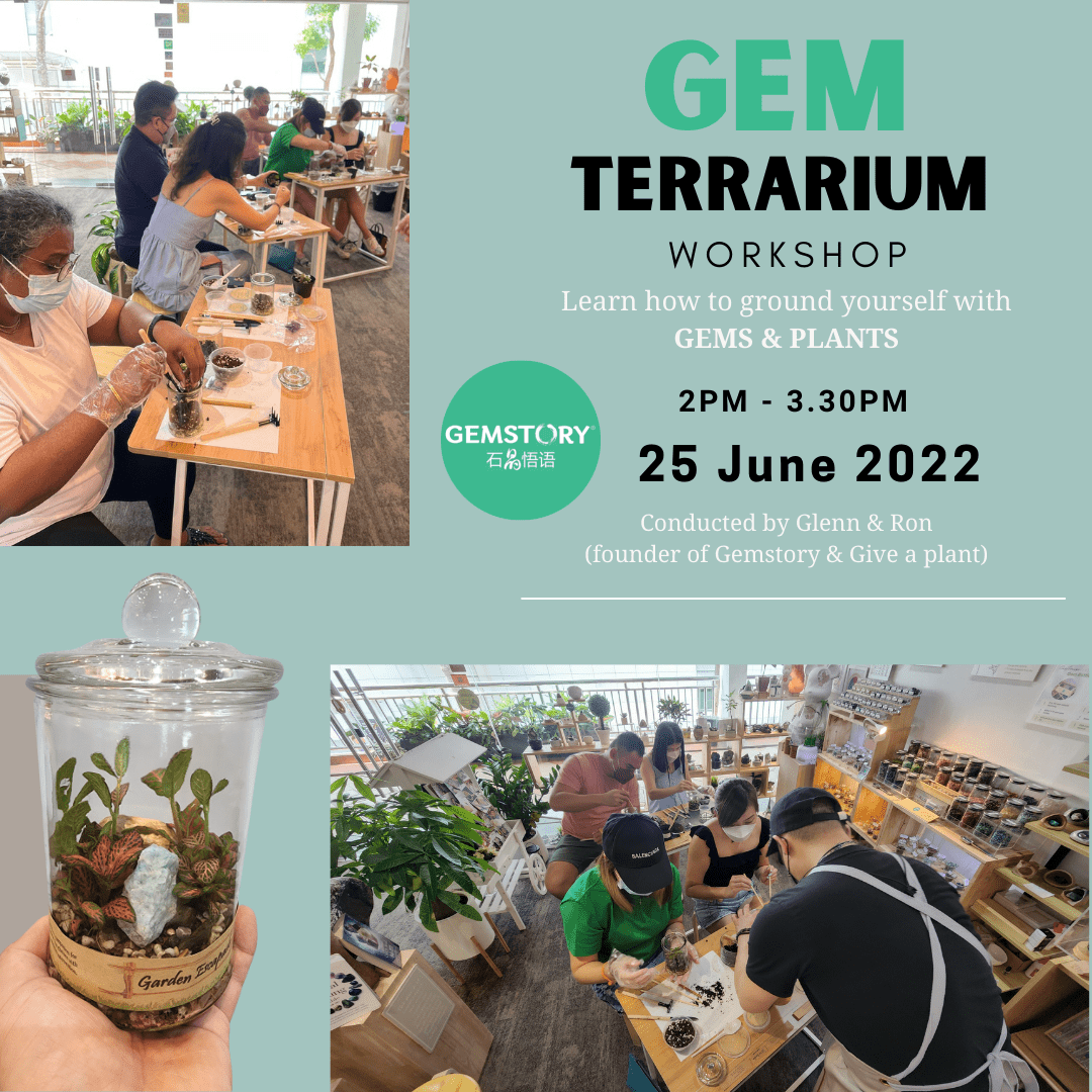 Gem Terrarium Workshop 2-1